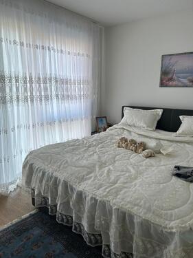 Foto - Bitte Bitte nicht heir Schreiben und schön Lesen