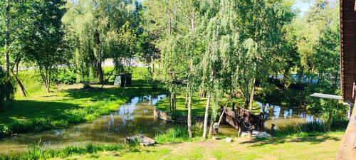 Foto - Einfamilienhaus zum Kaufen in Schönau