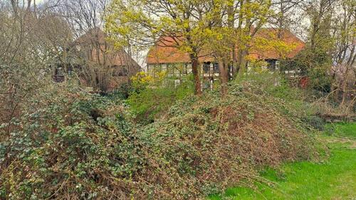 Foto - 4 Zimmer Etagenwohnung zur Miete in Lehre