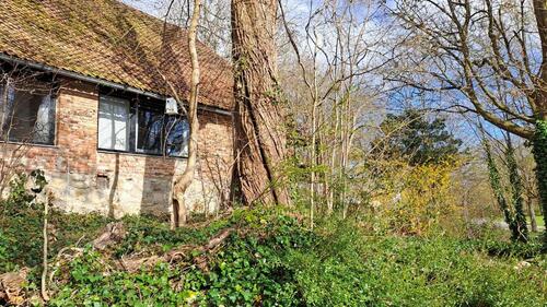 Foto - 4 Zimmer Etagenwohnung in Lehre