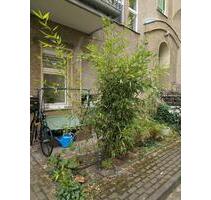 Charmante 2 Zimmerwohnung befristet zu vermieten - Berlin Charlottenburg-Wilmersdorf