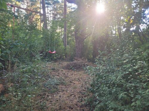 Foto - Einfamilienhaus in Heidesee zum Kaufen