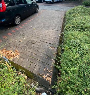 Foto - andere in Bonn zur Miete