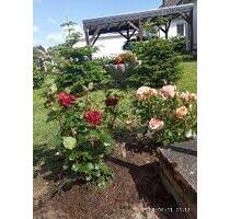 3-Zi Wohnung zu vermieten - 850,00&nbsp;EUR Kaltmiete, ca.&nbsp; 82,00&nbsp;m&sup2; in Bienenbüttel (PLZ: 29553)