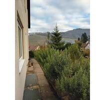 Wohnung in Müllheim-Niederweiler