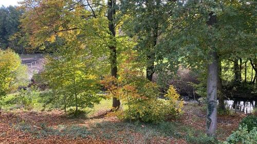 Foto - Einfamilienhaus in Zeven zur Miete