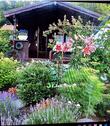 Foto - Garten in Gartenanlage ,Am Schloßwald e.V.`in Schwarzenberg