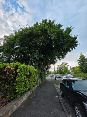 Foto - Premium Oldtimer Stellplatz direkt gegenüber Classic Remise DUS