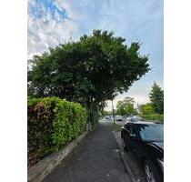 Premium Oldtimer Stellplatz direkt gegenüber Classic Remise DUS - Düsseldorf Stadtbezirk 8