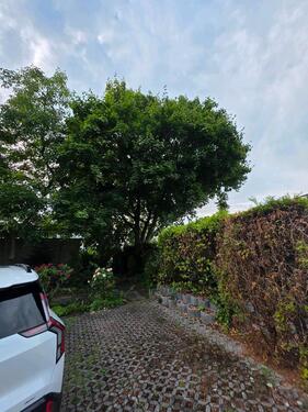 Foto - andere zur Miete in Düsseldorf