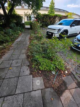 Foto - andere in Düsseldorf