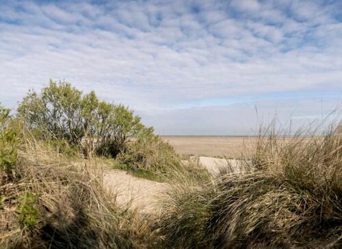 Foto - Urlaub an der belgischen Küste – Hunde willkommen!