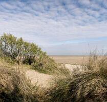 Urlaub an der belgischen Küste – Hunde willkommen! - Düsseldorf Stadtbezirk 8