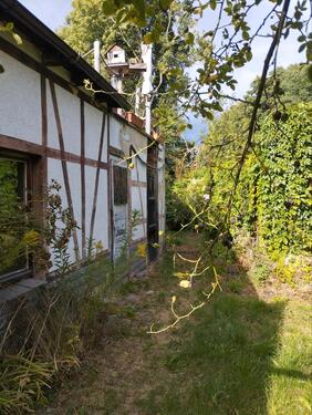 Foto - Einfamilienhaus in Mohlsdorf-Teichwolframsdorf zum Kaufen