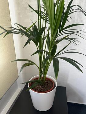 Foto - andere in Langenhagen zur Miete