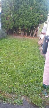 Foto - 3,5 Zimmer Wohnung - 900,00&nbsp;EUR Kaltmiete, ca.&nbsp; 85,00&nbsp;m&sup2;