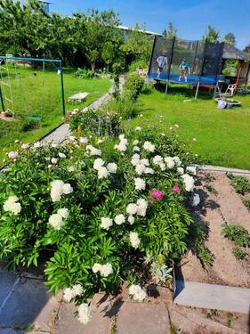 Foto - Grundst&uuml;ck in Mühlhausen (Thüringen) zur Miete