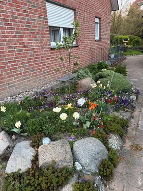 Foto - 4 Zimmer Doppelhaushälfte zur Miete in Nienburg (Weser)
