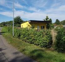 Kleingarten Pachtgarten im KGV in Peitz (Teichland)