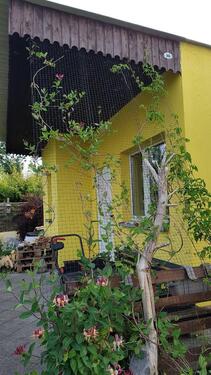 Foto - Grundst&uuml;ck zur Miete in Peitz