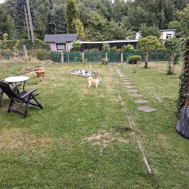 Foto - Grundst&uuml;ck zur Miete in Zwickau