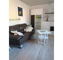 2 Zimmer Single Wohnung möbliert zu vermieten - Albersdorf