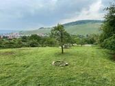 Foto - Vermietung Stückle, Gartengrundstück für Feiern oder Feste mieten