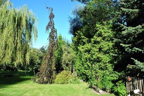 Foto - andere in Neuburg zur Miete