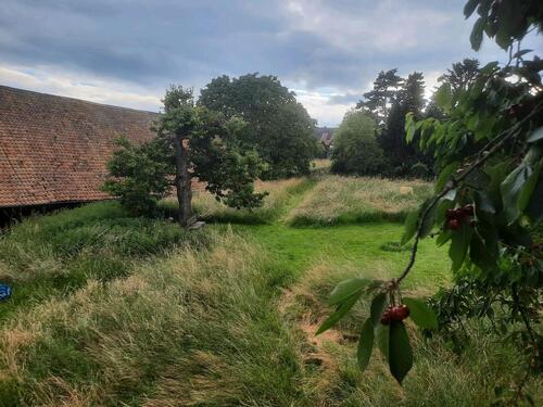 Foto - Etagenwohnung in Springe zur Miete
