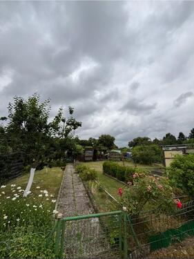 Foto - Kleingarten im Kleingartenverein Schönfeld e.V.