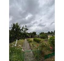 Kleingarten im Kleingartenverein Schönfeld e.V. - Kassel Südstadt