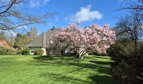Foto - Rarität! Imposantes Einfamilienhaus mit parkähnlichem Gartengrundstück in Waldrandlage!