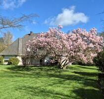 Rarität! Imposantes Einfamilienhaus mit parkähnlichem Gartengrundstück in Waldrandlage! - Ganderkesee