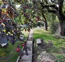 Gemüsegarten zu verpachten - 400,00&nbsp;EUR Kaltmiete, ca.&nbsp; 0,00&nbsp;m&sup2; in Lohfelden (PLZ: 34253)