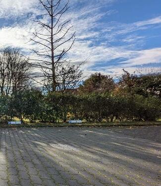 Foto - andere zur Miete in Lippstadt