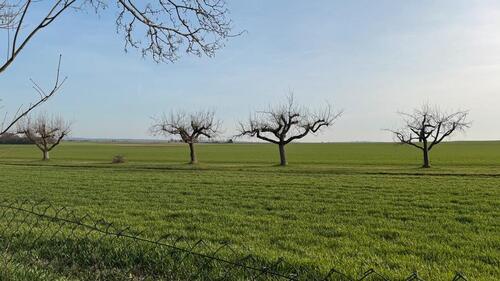 Foto - Grundst&uuml;ck in Reichelsheim (Wetterau) zur Miete