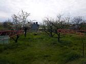 Foto - 