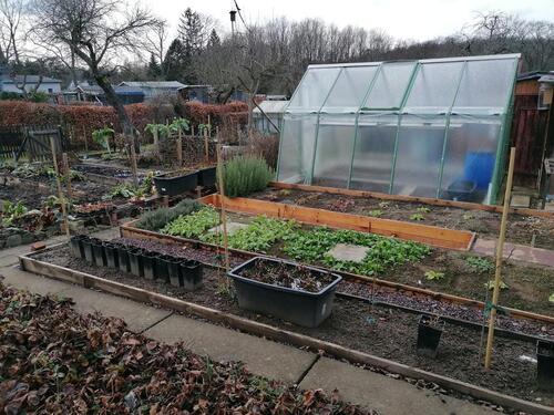 Foto - Pachtgarten 328 qm in KGV Rußhütte inkl Gewächshaus