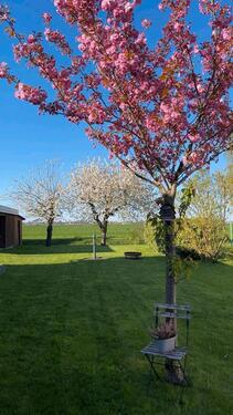 Foto - Gepflegtes Wohnhaus mit Doppel-Carport EinZweifamilienhaus