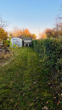 Foto - Schönen Kleingarten in BrockwitzCoswig