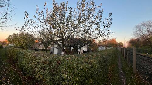Foto - Grundstück zur Miete in Dresden