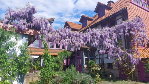 Foto - WG-Domizil im alten Ortskern von Kassel-Oberzwehren