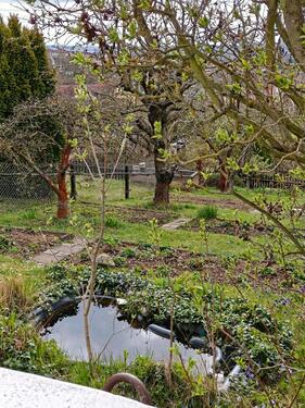 Foto - Grundst&uuml;ck in Gera