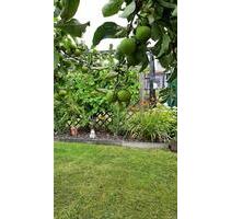 Schrebergarten - 1.000,00 EUR Kaltmiete, ca.  0,00 m² in Bautzen (PLZ: 02625)