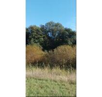 Waldgrundstück - 10,00 EUR Kaltmiete, ca.  0,00 m² in Klipphausen (PLZ: 01665)