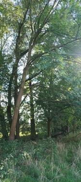 Foto - Grundstück zur Miete in Klipphausen