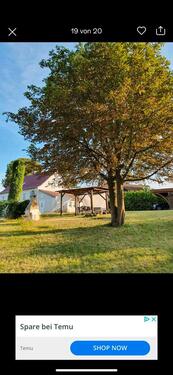 Foto - Einfamilienhaus in Spantekow zum Kaufen