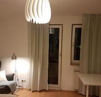 Vermiete möblierte 1-Zimmer Wohnung - Nürnberg Kleinweidenmühle