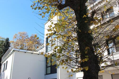 Foto - Zweitbezug! Exklusive Penthouse Wohnung mit großer, sonniger Dachterrasse!