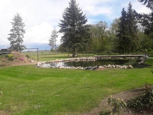 Foto - Einfamilienhaus in Schwarmstedt zum Kaufen